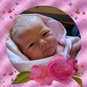 Meet your Posher, Sally